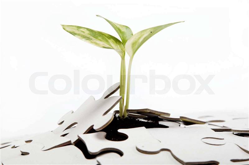 Green sprout from the earth makes its way through the puzzle, stock photo