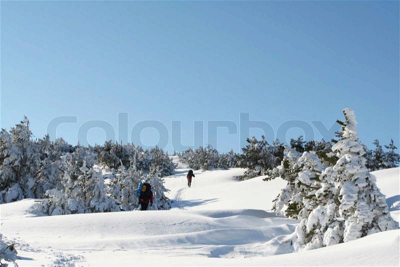 Winter sport, stock photo
