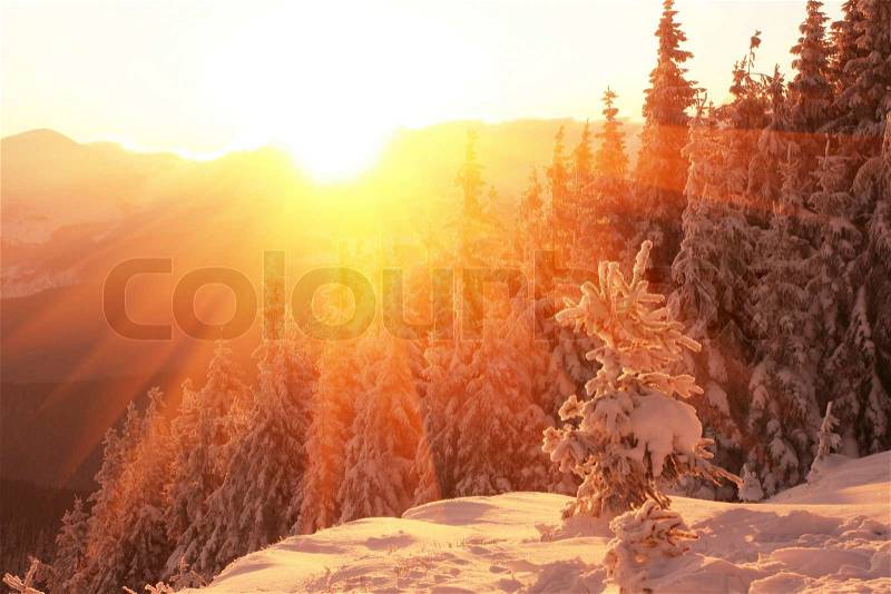 Winter mountains, stock photo