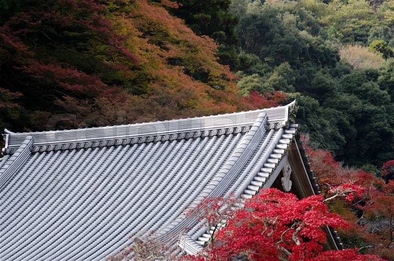 Japanese temple roof in autumn, stock photo