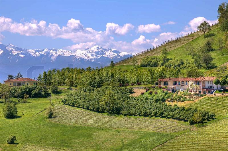 4052043 rural houses on green hill and mountains with snowy peaks in piedmont at spring italy