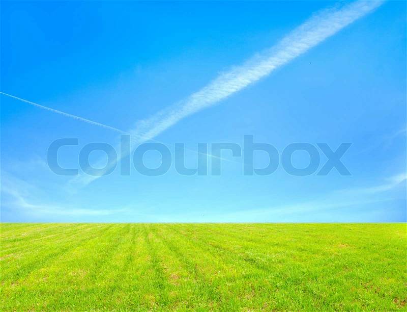 Stock image of \'fresh, field, idyllic\'