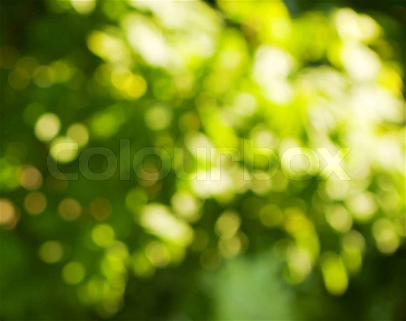 Background in green and white colors, stock photo