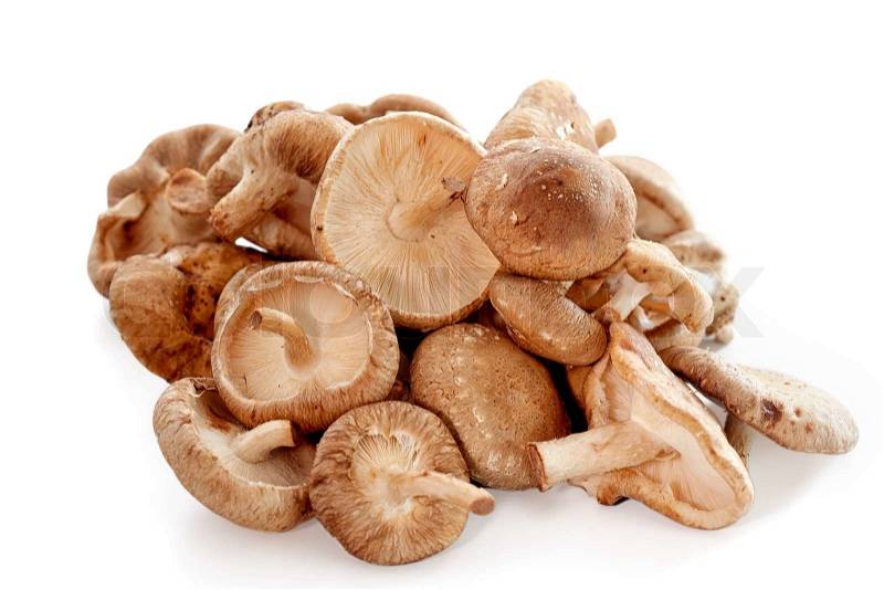 Shiitake mushrooms - Stock Photo - Colourbox