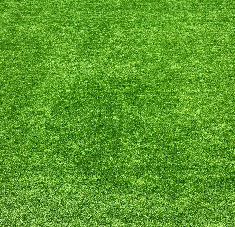 Background of a green grass Texture green lawn, stock photo