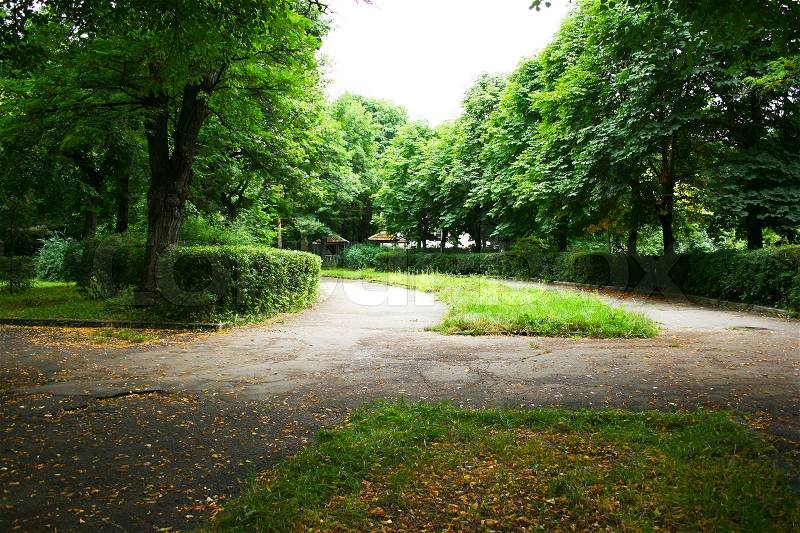 Path in the park, stock photo