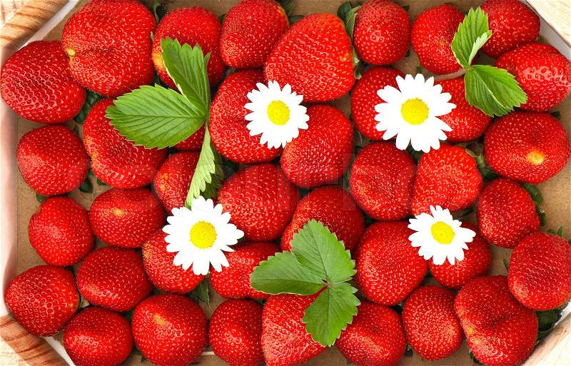 Fresh strawberries with daisy flowers in wooden box, stock photo