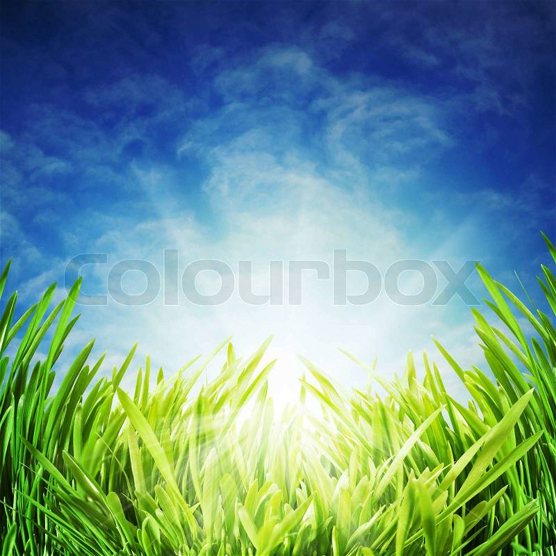 Abstract natural backgrounds under the blue skies, stock photo