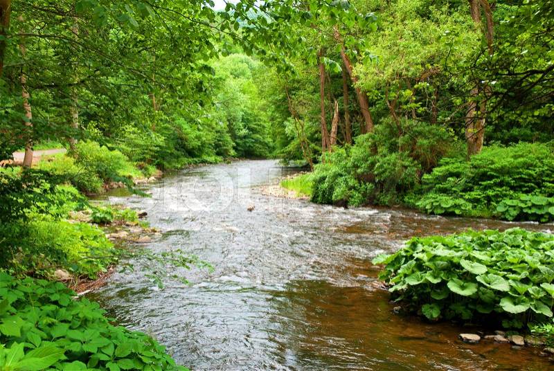 Small Clean River and Green Overgrown River Banks, stock photo