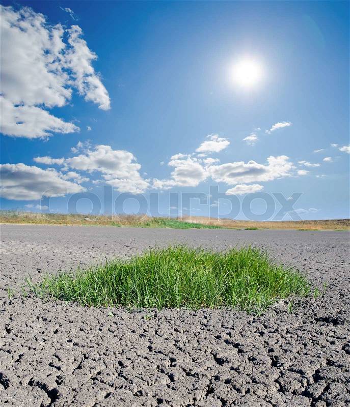 Sun over drought land, stock photo