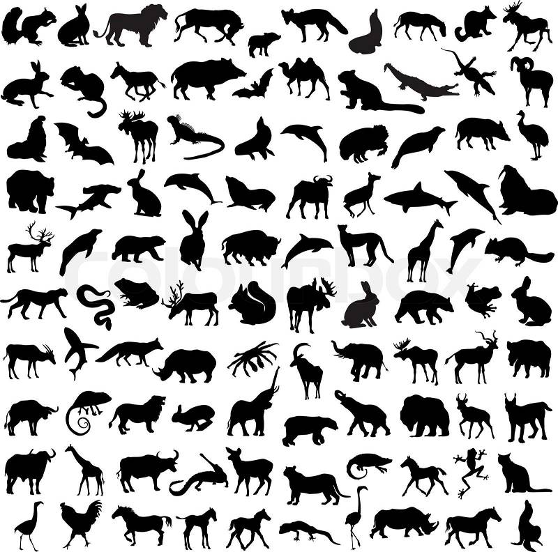 Hundred silhouettes of wild animals, birds and reptiles, vector
