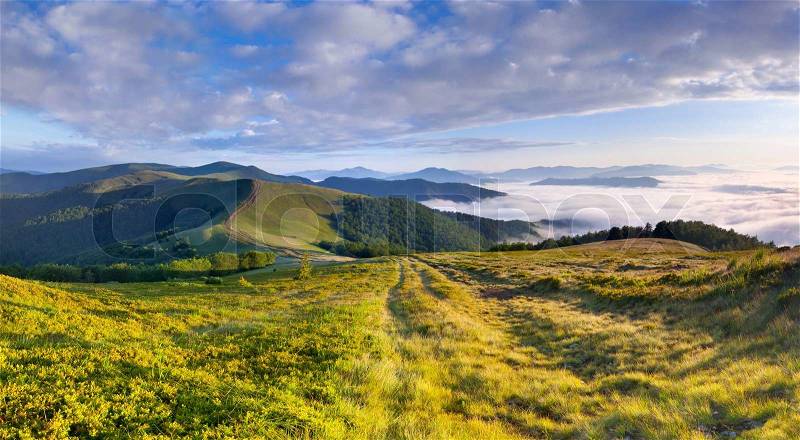 Beautiful summer landscape in the mountains Sunrise, stock photo