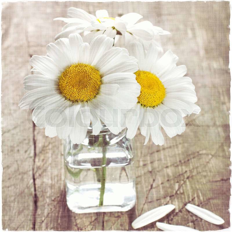 Bouquet of daisies on a vintage wooden surface, stock photo