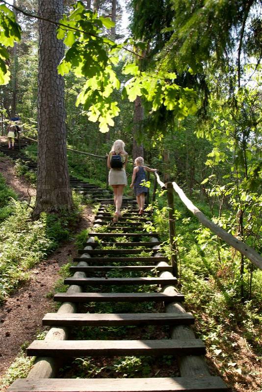 Forest stairs, stock photo