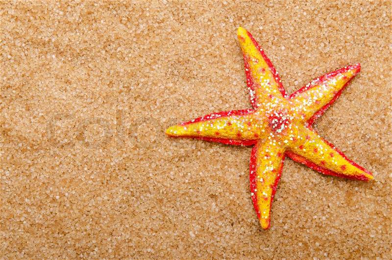 Sea stars on the sand, stock photo