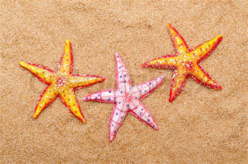 Sea stars on the sand, stock photo