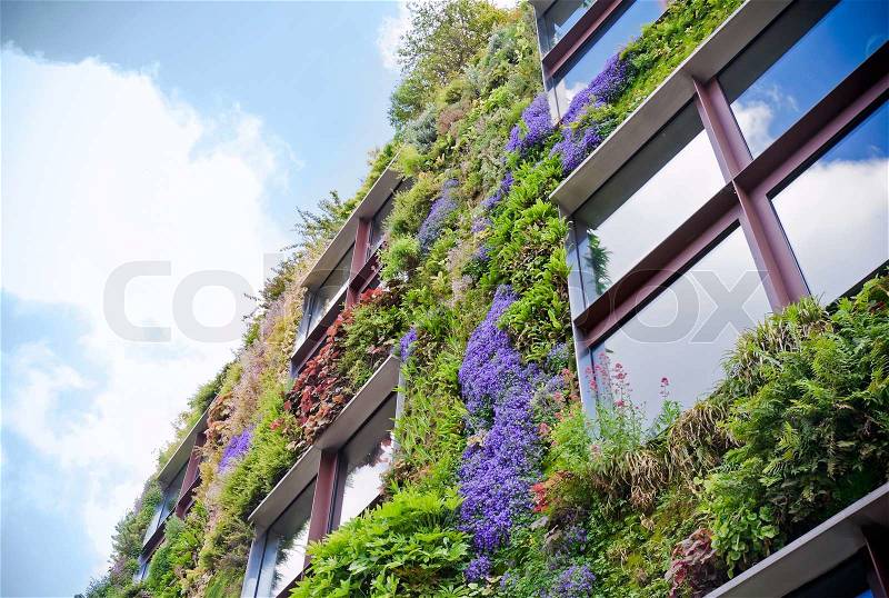 Ecological buildings facade, stock photo