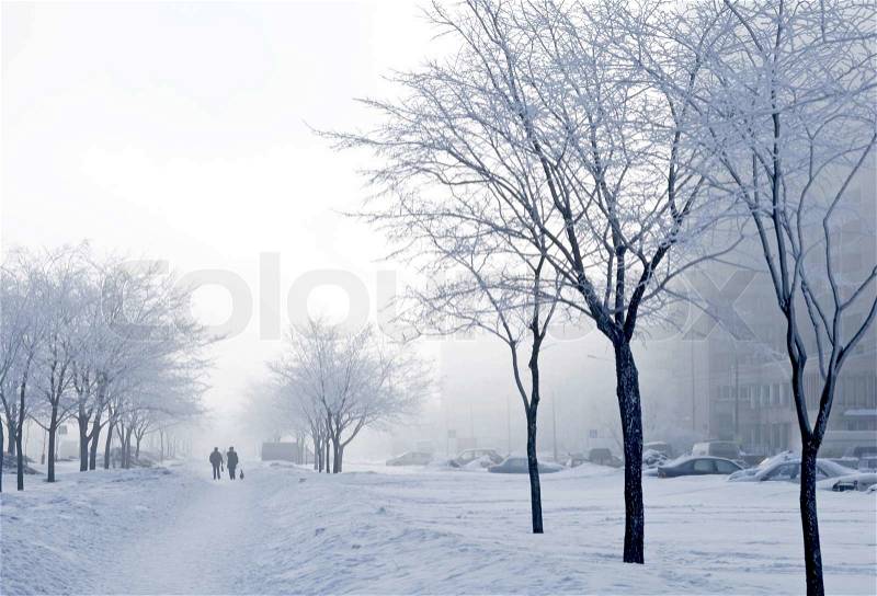 Foggy wintry morning in Saint-Petersburg Russia People are walking to work on snow-covered avenue, stock photo