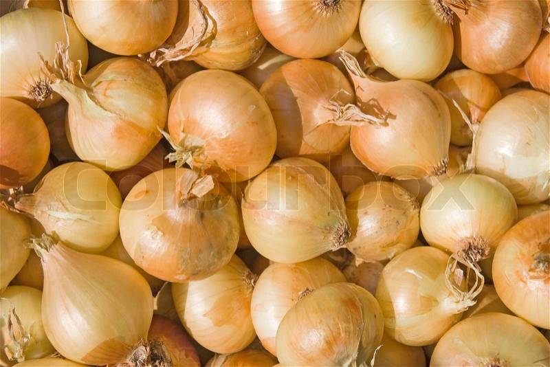 A pile of bulb onions on a counter, stock photo