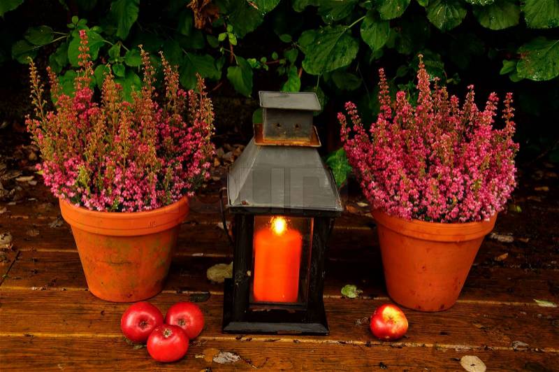Autumn garden decor, stock photo
