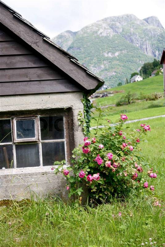 Cottage in the mountains, stock photo