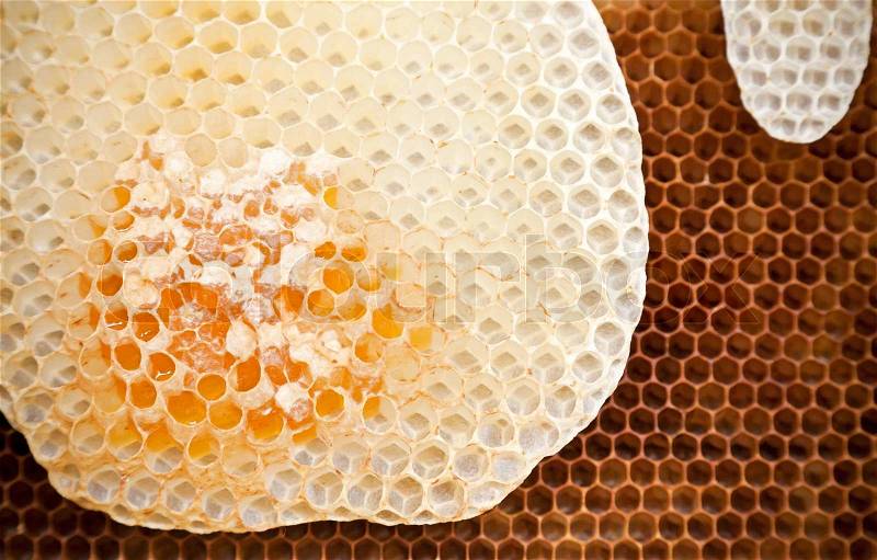 Fresh honeycomb background texture, stock photo