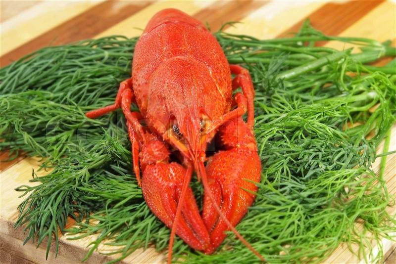 Red boiled crawfish and green fennell taken closeup, stock photo