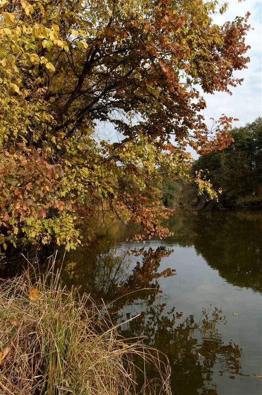 Sad autumn landscape River and trees, stock photo