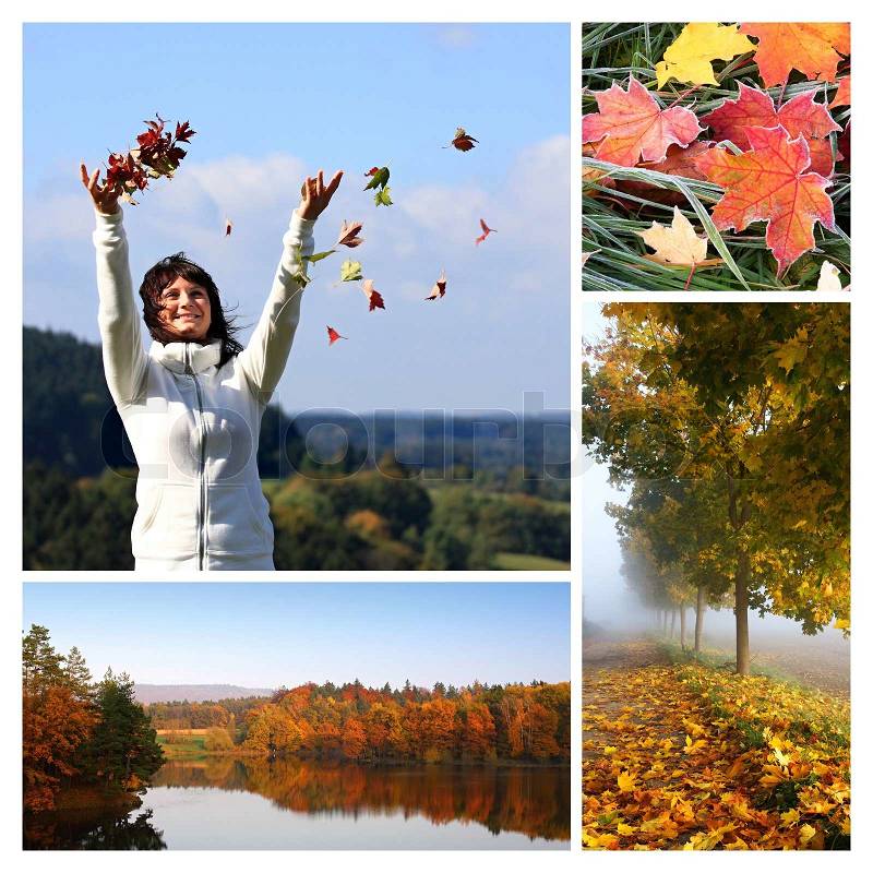 Autumn collage, stock photo