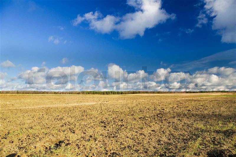 Soil field, stock photo