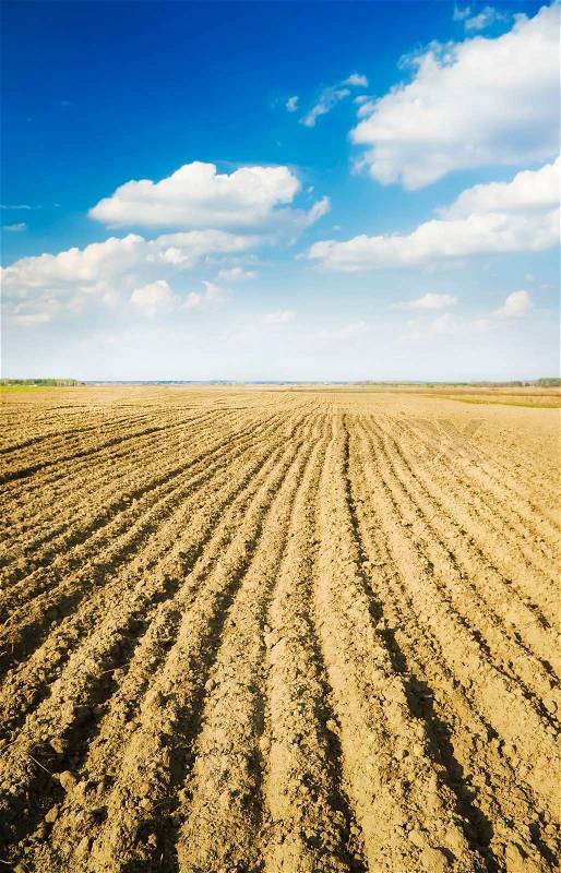 Soil of an agricultural field, stock photo
