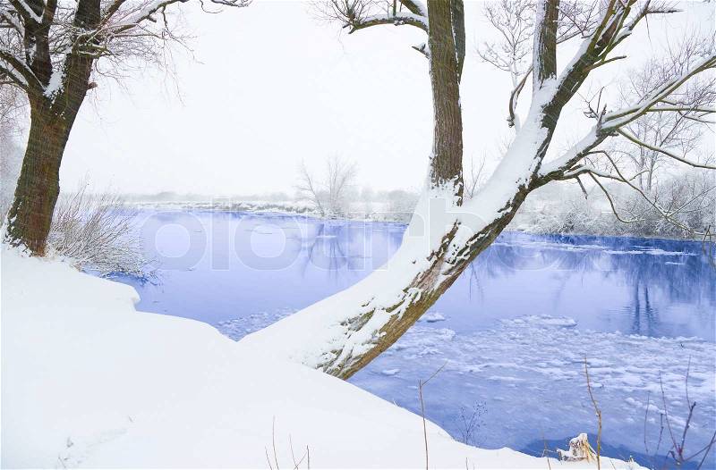 Winter landscape, stock photo
