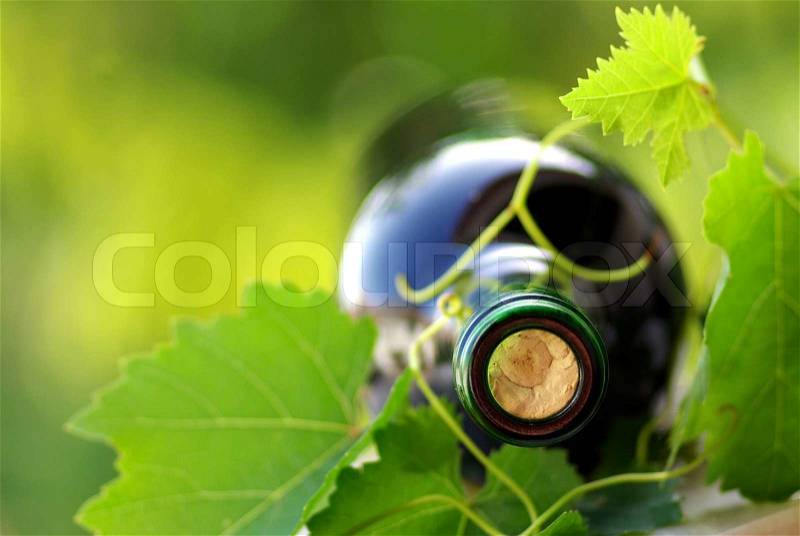 Bottle of red wine and green leaves, stock photo