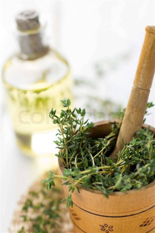 Healthy aromatic herbs.Thyme, stock photo