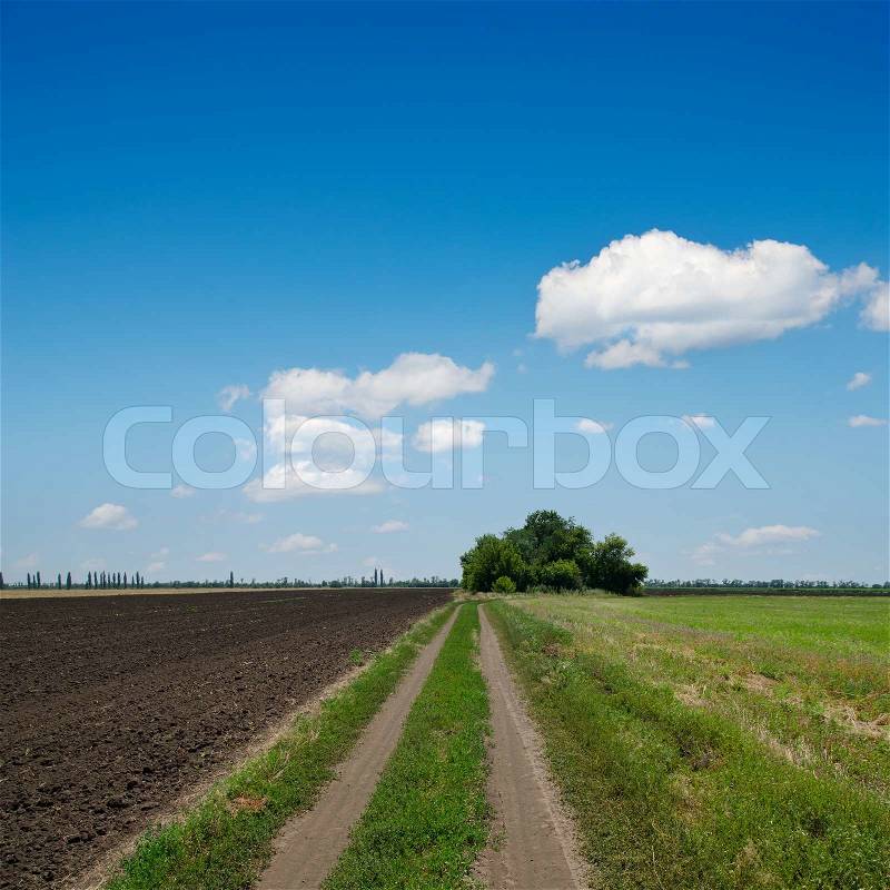 Rural road to horizon under cloudy sky, stock photo
