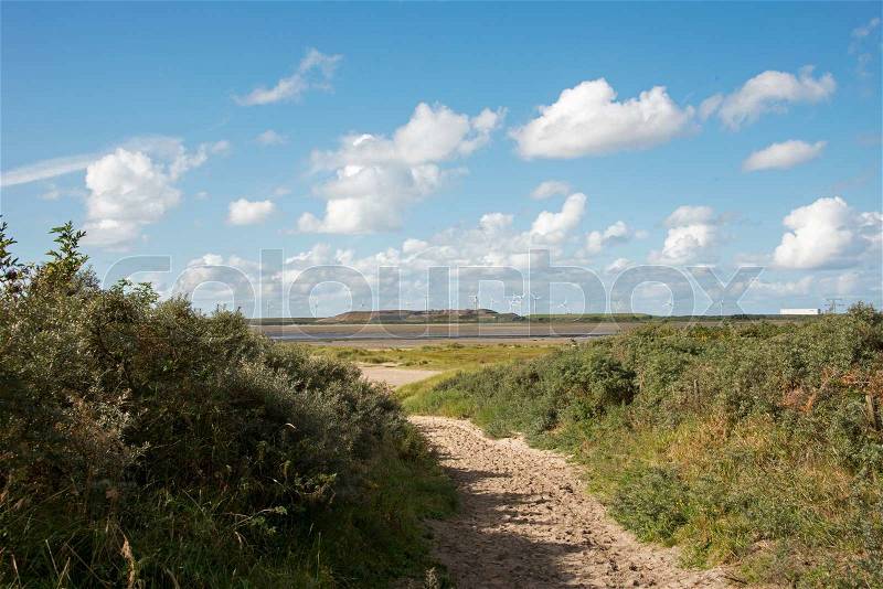 Path with sand on the dutch dunes to the coast, stock photo