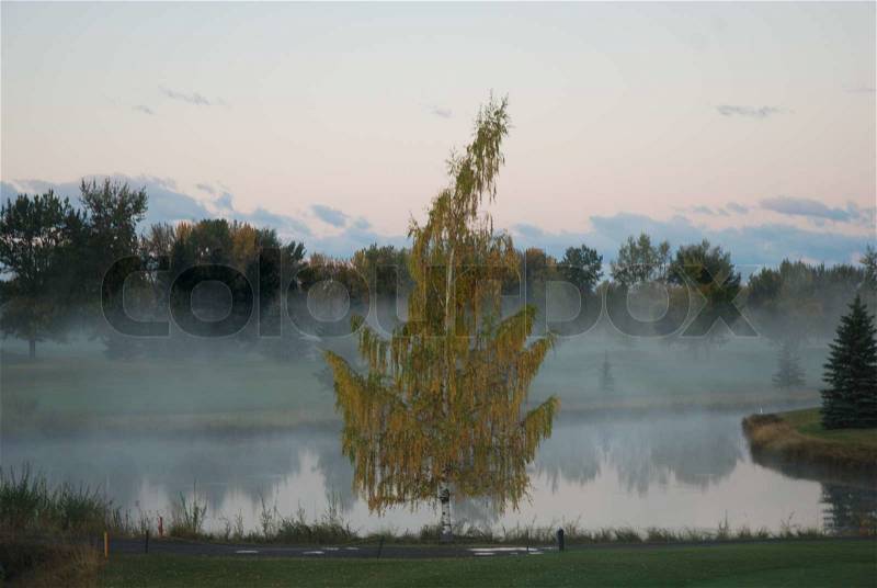 7:30AM today. We live on a golf course. We had rain last evening. Humidty 95% this AM Fog hung over the water hazard on the golf course..would be tough to track a golf ball!!, stock photo
