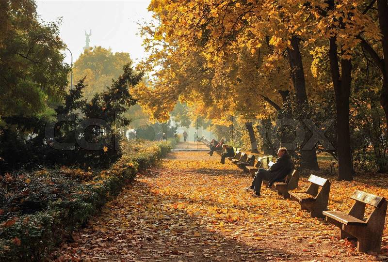 The power of the autumn sunshine, Budapest, stock photo