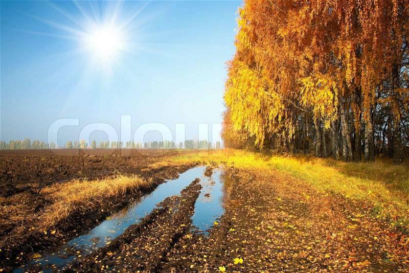 Country road and plowed field in autumn, stock photo
