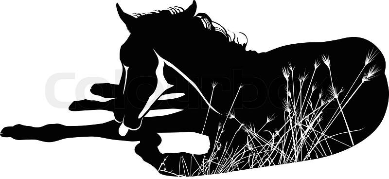 Horses of a horse animals it is isolated, vector
