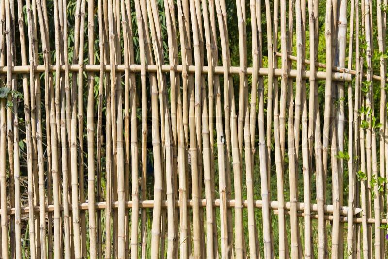 Bamboo fence, stock photo