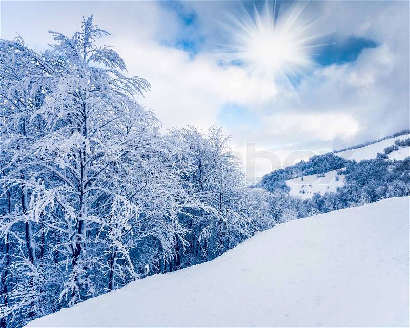 Winter landscape, stock photo