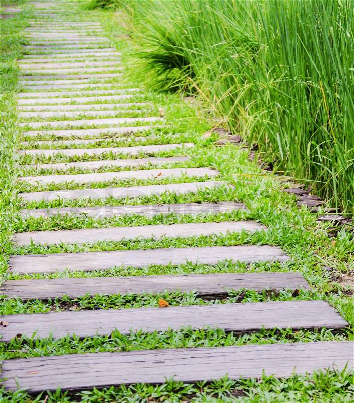 Wooden path walkway through the green grass, stock photo