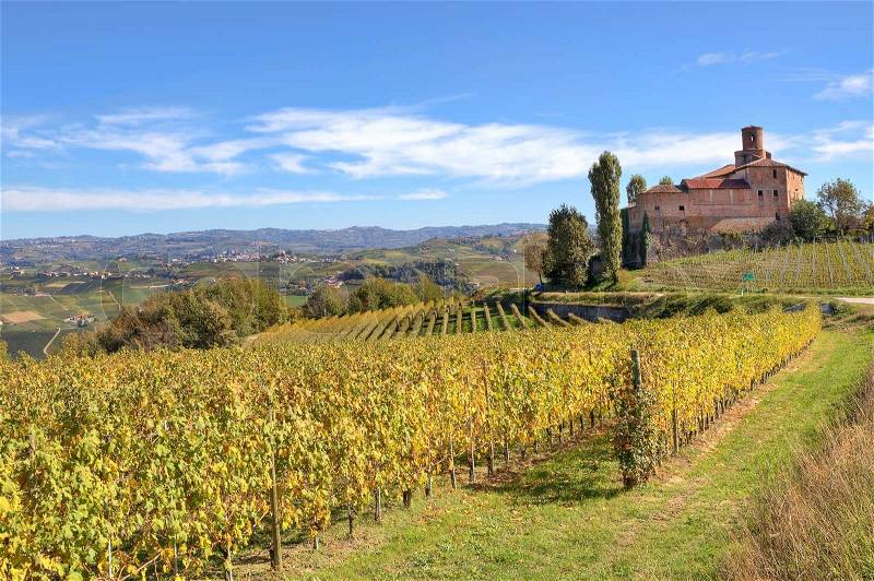 View on yellow vineyards and ancient castle on background under blue sky at fall in Piedmont, Italy, stock photo