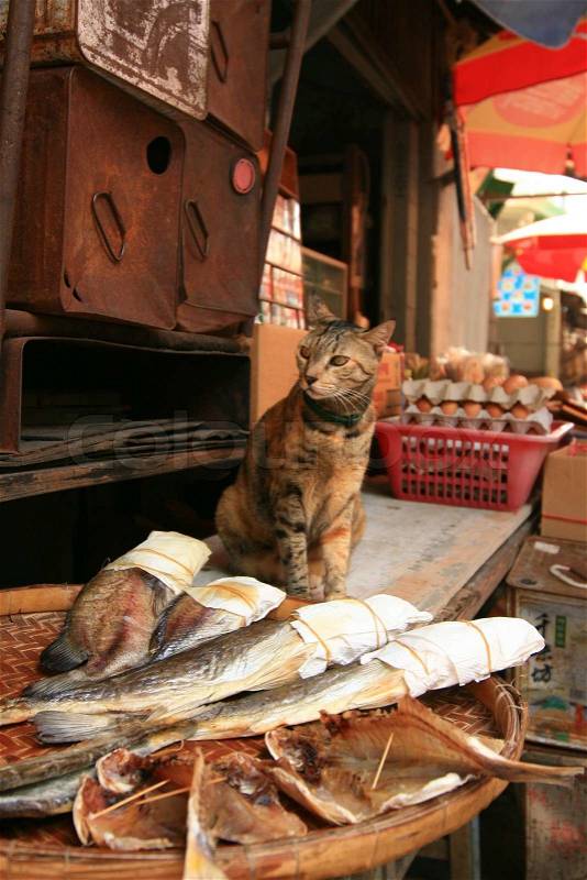 A fish which cats doesn't eat but many people likes it....Salted Fish at Tai O, HK, stock photo