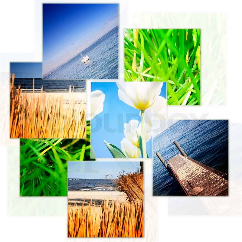 Nature collage, stock photo