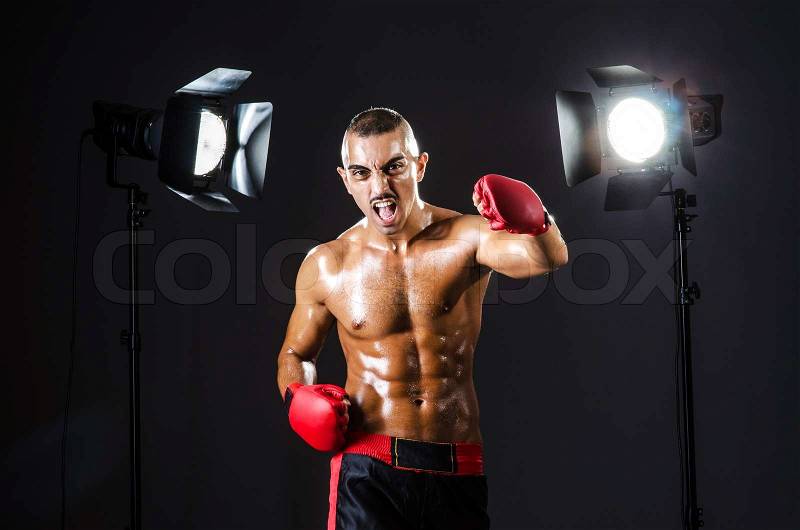 Boxer and studio lights, stock photo