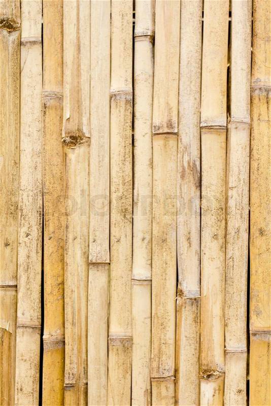 Bamboo wall background, stock photo