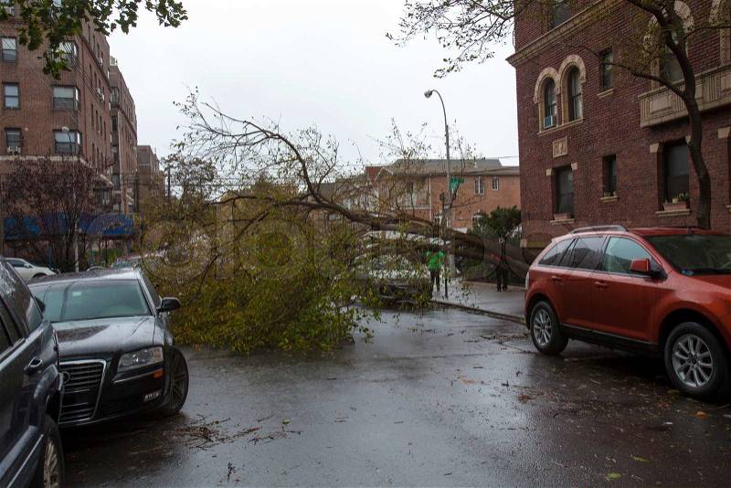 NEW YORK - October 30: Fallen tree on a car on the street in Queens borough after hurricane Sandy hit on October 30, 2012 in New York City, NY, stock photo