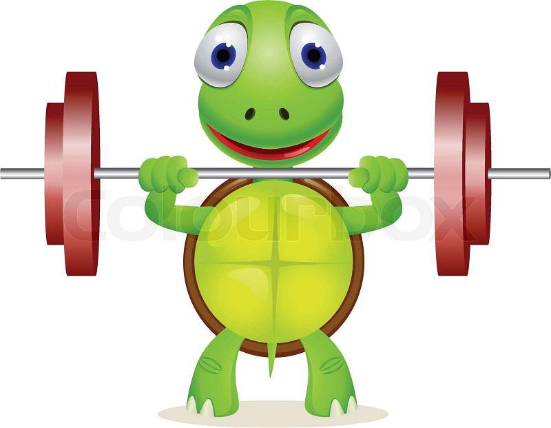 image clipart tortue - photo #33